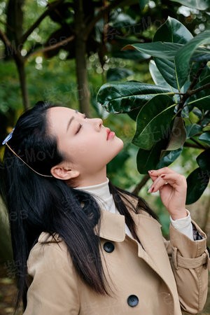 特种战兵林昆最新章节