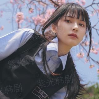 警察荣誉演员表
