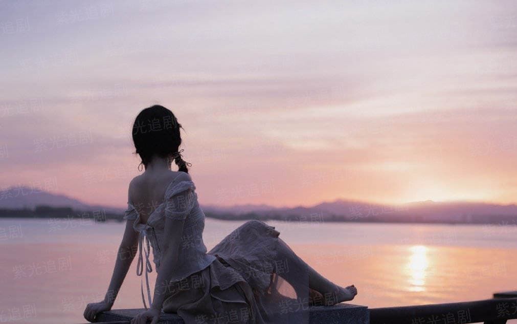 律师本色第八季