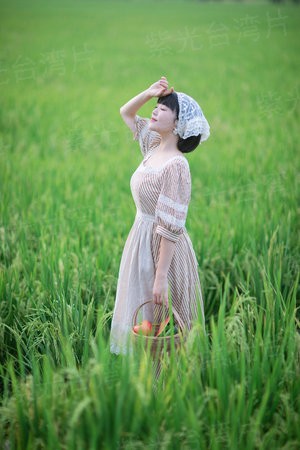 吸血女王之乖乖别闹